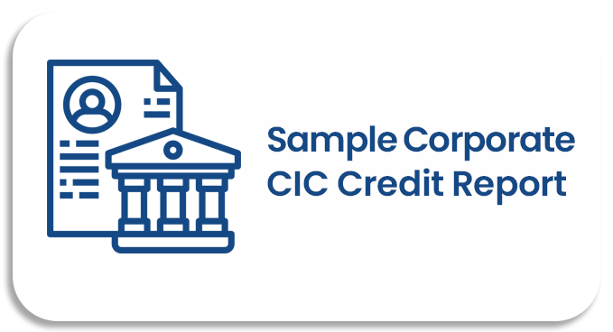 sample corporate cic credit report
