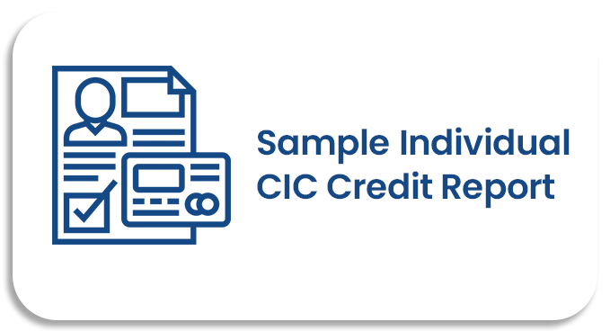 sample individual cic credit report
