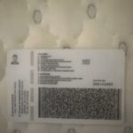 photo 2025 11 14 11 10 53