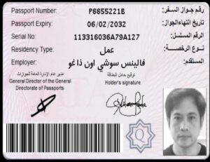 photo 2025 11 16 22 00 27